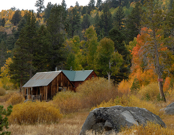 CABIN ON 89