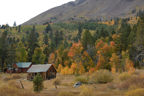Fall Colors HWY 88 00710012006