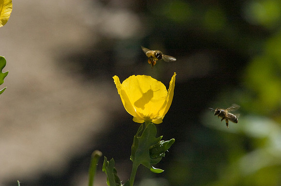 TBH_0039