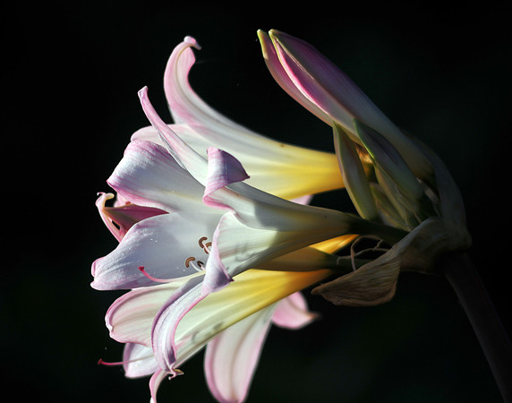 D3S_9207 copy