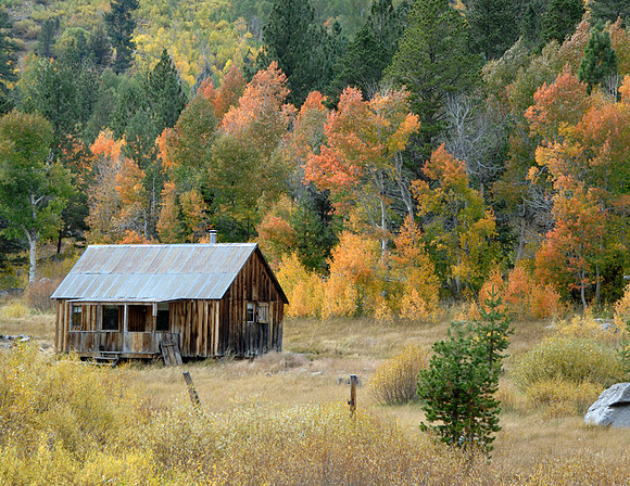 CABIN HWY 89