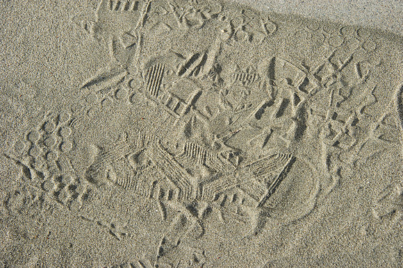 D3S_5644
