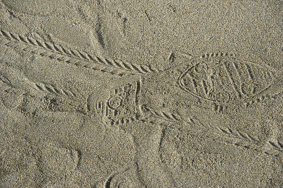 D3S_5646