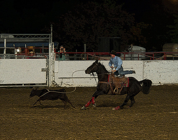 D3S_0381