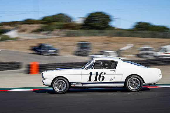 _NZ92662-1