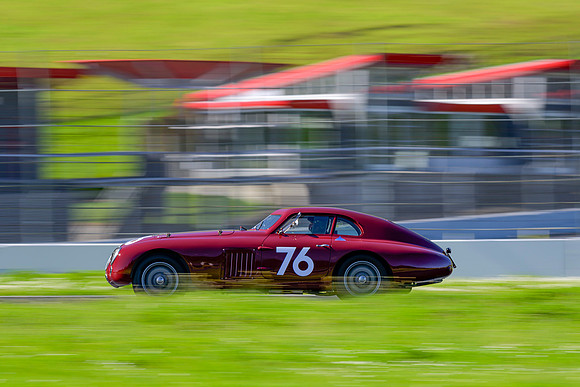 Tod_Bice_Z9T0422_0006