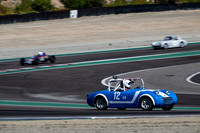 Z9T_9224 copy