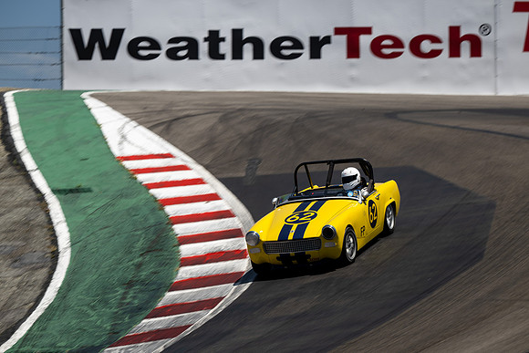 Z9T_0335 copy